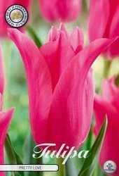 Liljatulppaani 'Pretty Love'