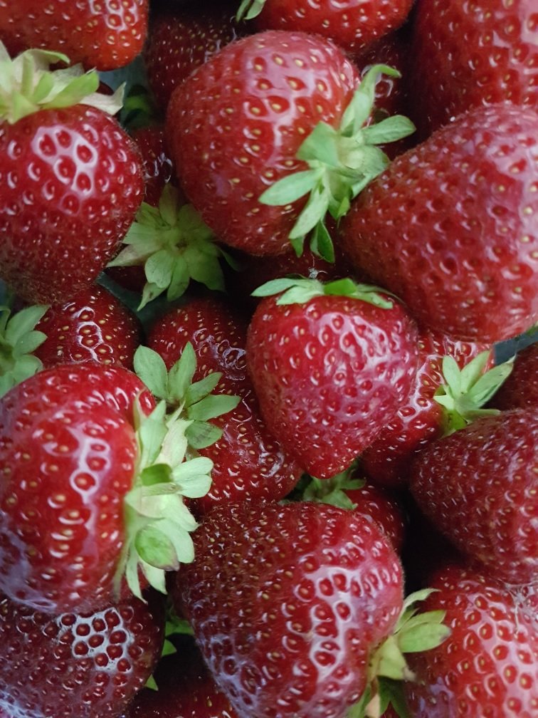 Puutarhamansikka 'Frida'